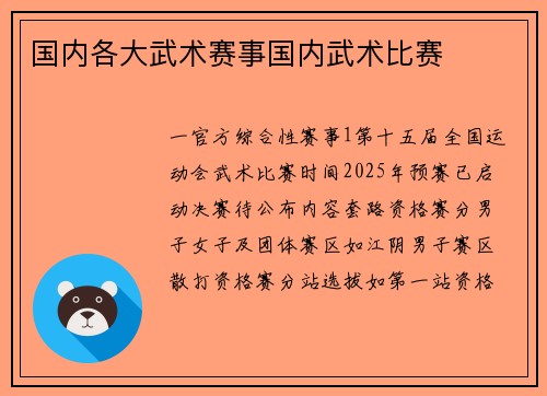 国内各大武术赛事国内武术比赛